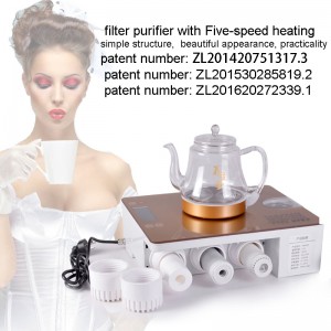 Desktop Water Filter Purifier with Five-speed Heating System,No Need To Instal