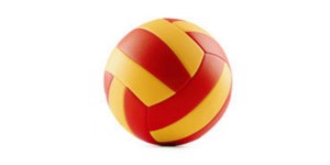 Machine Stitched PU/PVC Volleyball, High Quality Waterproof Neoprene