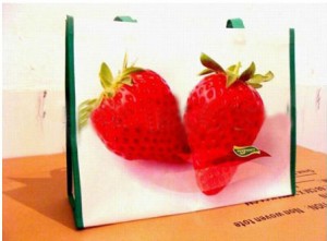 New recycle PP laminated woven bag