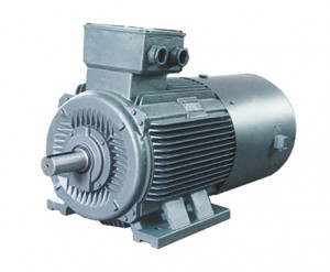 Frequency variable three-phase asynchronous motor for general purpose series YPB(F) Frequency variable three-phase asynchronous motor for general purpose series YPB(F)