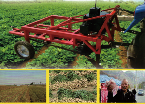 Peanut Harvesting Machine