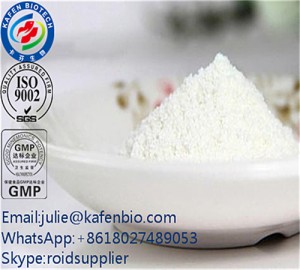 Superb Steroid Hormone Powder Clostebol Acetate (Turinabol) CAS: 855-19-6