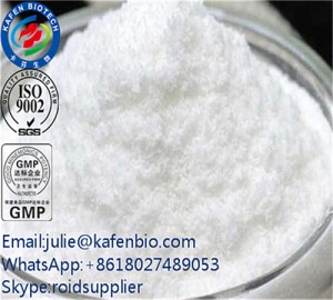 Testosteron Steroid Hormone 1-Testosterone for Male Enhancement CAS 65-06-5