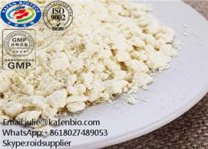 GMP Standard Factory Direct Supply USP38 /Bp2015 Folic Acid