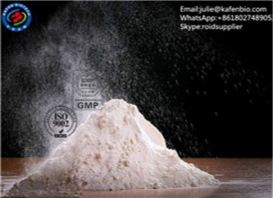 High Purity Raw Steriod Powder Tibolone Acetate/Livial for Bodybuilding