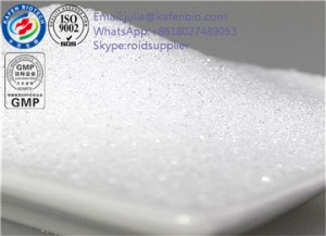 Pharmaceutical Raw Material Tacrolimus CAS 109581-93-3 for Immune Suppressant
