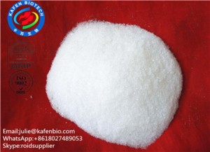 99% Pharmaceutical Raw Material Chloramphenicol CAS:56-75-7