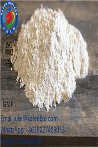 Omeprazole Powder Active Pharmaceutical Ingredients CAS 73590-58-6