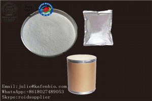 New Arrival Tenofovir CAS: 147127-20-6 as an Anti-HIV Agent