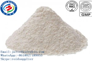 Hydrocortisone 50-23-7 Hydrocortisone Acetate Cortical Hormone Pharmaceuticals