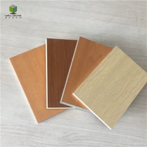 solid color/wood grain fireproof HPL wall panel