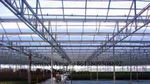 low cost commercia plastic polycarbonate(PC SHEET) agricultural greenhouse for sale
