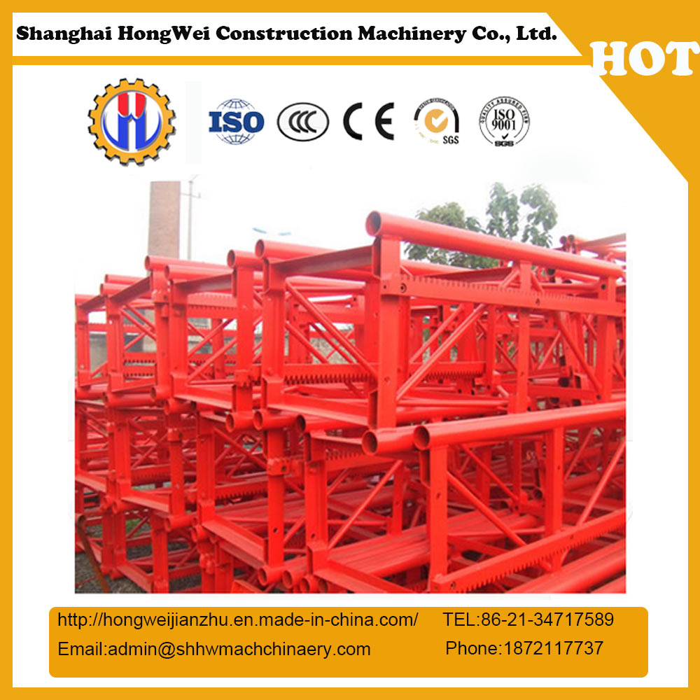 Construction Hoist Parts-Standard Section