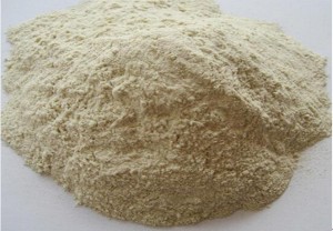 wheat gluten meal min70%protein wheat gluten meal min70%protein