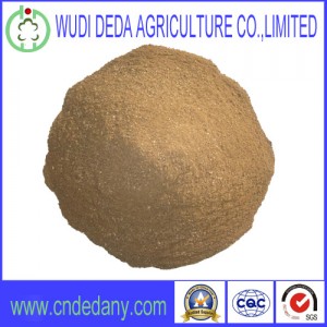 meat bone meal competitive price