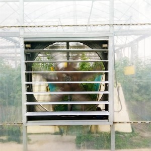 greenhouse equipments stainless steel greenhouse cooling fan