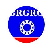 Shandong Brgro Bearing Co., Ltd.