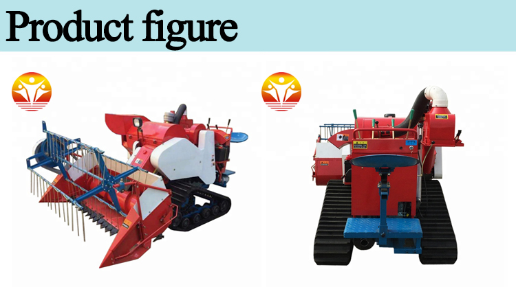 1545291261189900.jpg 3 (2).jpg