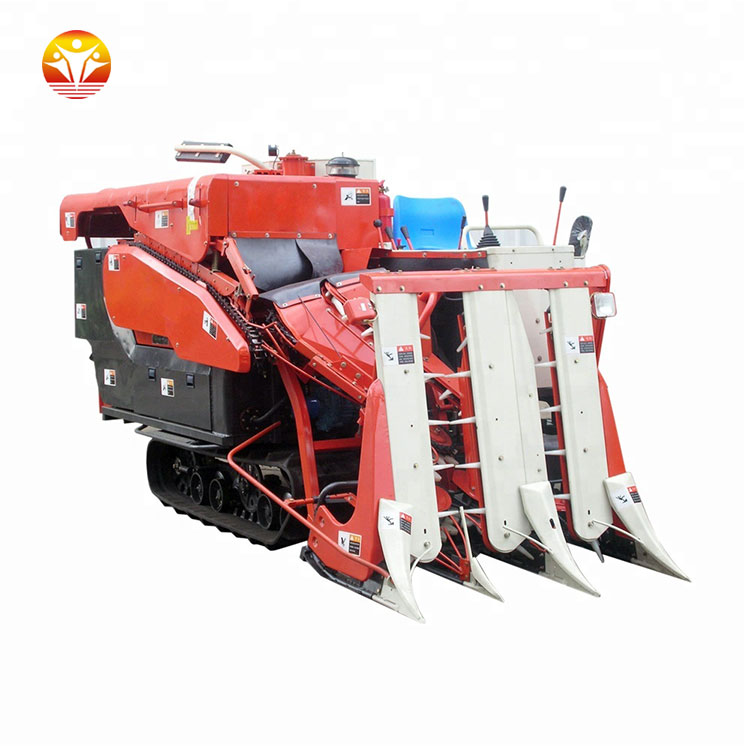 1544962920254957.jpg 3.jpg