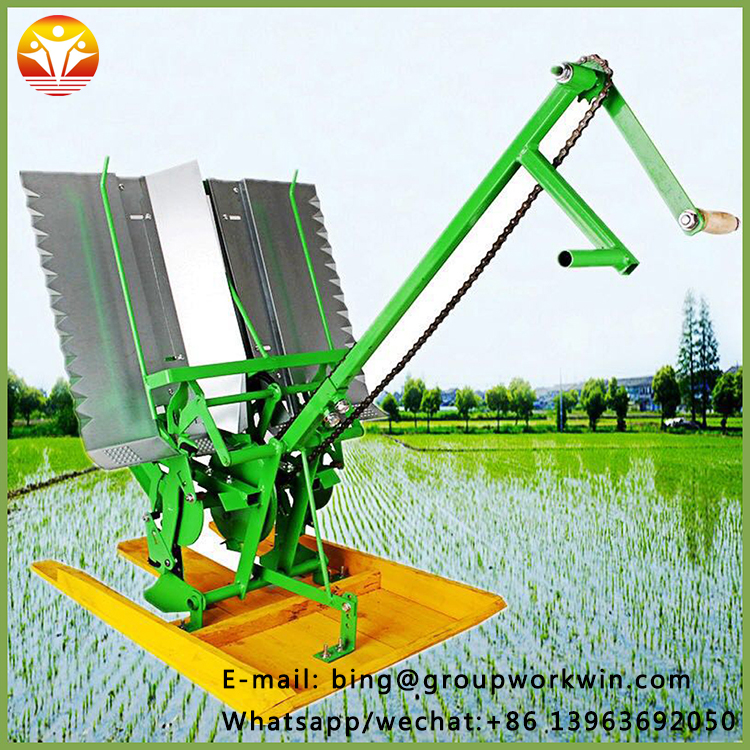 Rice-Transplanting-Use-And-Overseas-Third-party (4).jpg