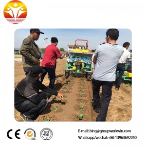 Fruit and vegetable transplanting machine