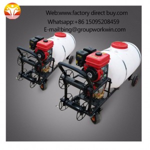 Portable Gasoline Pump Agriculture Insecticide Spray Machine