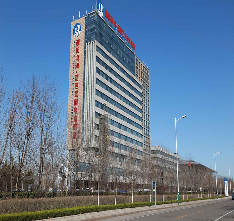 1546413944462409.jpg 9.jpg