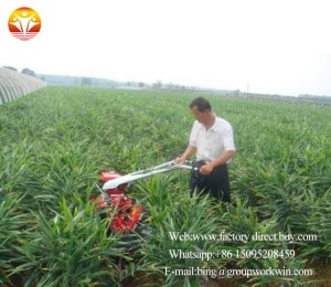 Agricultural mini farm used cultivator multifunction soil cultivating machine