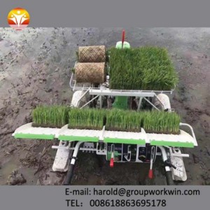 Paddy rice transplanter 4 rows Farm Machinery