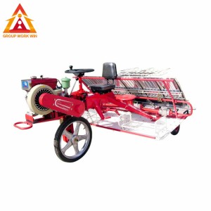 6 rows walking behind hand push rice transplanter for sale in Pakistan