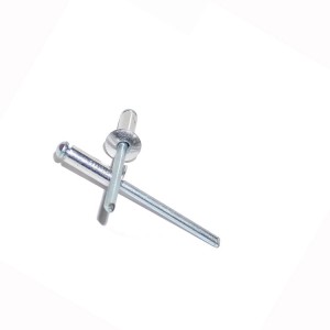 Chemical 304/316 stainless steel rivets