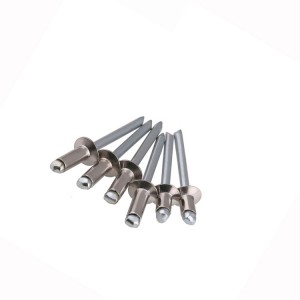 Chemical resistance stainless steel screw rivet