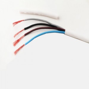 300/500v PVC Insulated Electric Wire RVV Cable