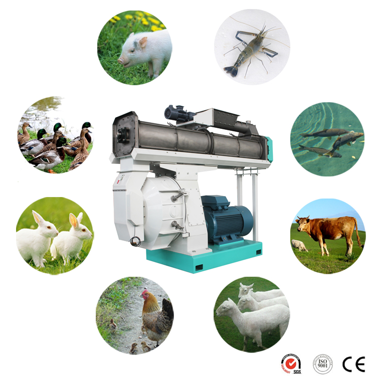 high efficiency pellet machine mill of animal feed with CE certification