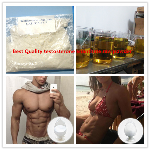 99% Purity Bodybuilding Anabolic Steroid Powder Testosterone Enanthate