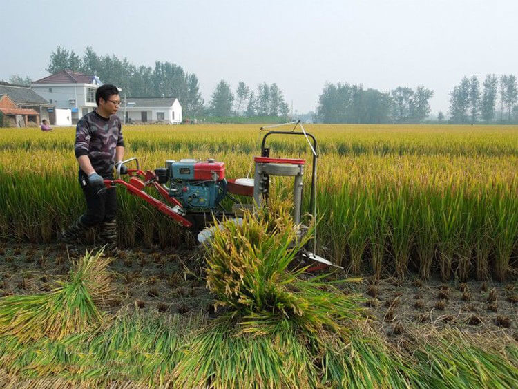 Rice Reaper Binder Machine 