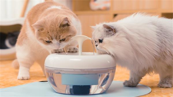 pet water fountain mat