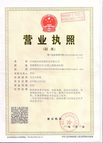 Bosa New Energy Co.,Ltd