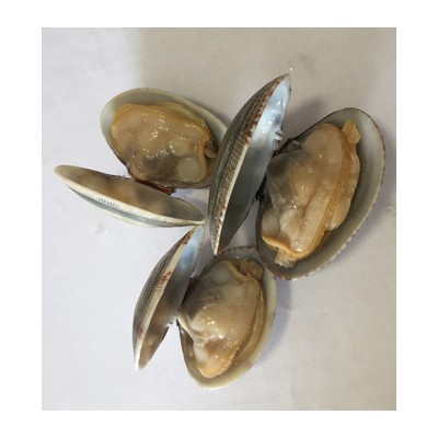 Frozen cooked clam with shell on