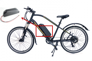 Electric bike use lithium ion battery 10kwh48v Dolphin 13AH