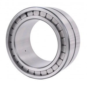 Double row full complement cylindrical roller bearings SL18 5020