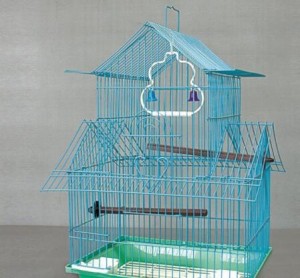 Best seller custom design slide bolt latches bird trap cage