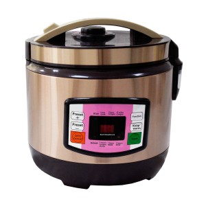 2.5L Stainless Steel Golden Non-stick Inner Pot Intelligent Braille Talking Rice Cooker