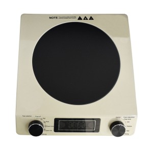 2000W Golden Portable Stainless Steel Touch Button Induction Cooktop
