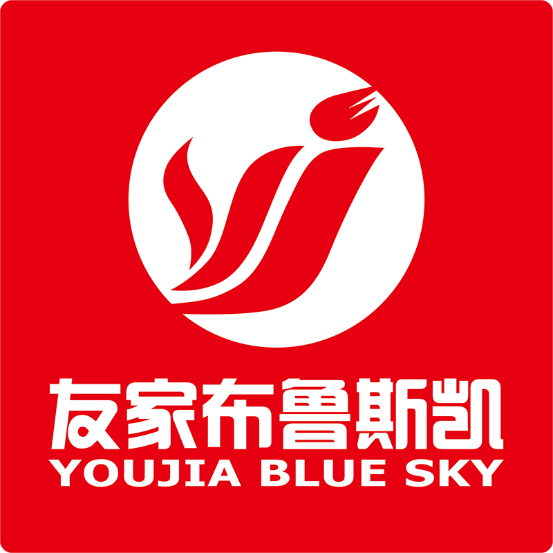 WEIFANG YOUJIA NEW ENERGY TECHNOLOGY Co.,LTD