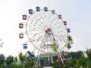 Giant Ferris Wheel