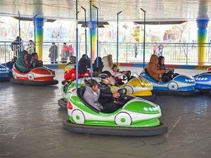 Skynet Bumper Car