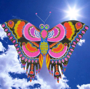 birthday gift weifang kite