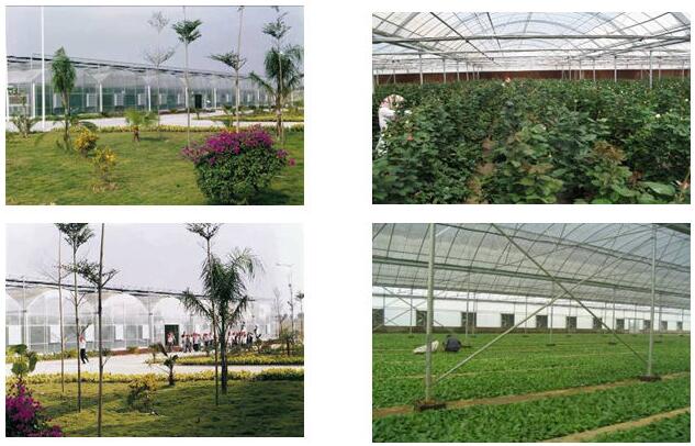 1479886712819200.jpg 53.jpg