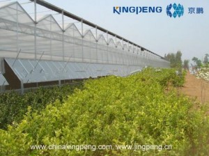 Polycarbonate Sheet Farming Greenhouse